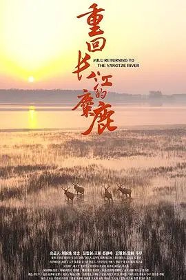《重回长江的麋鹿》：一场跨越时空的生态奇旅，见证生命的轮回与希望