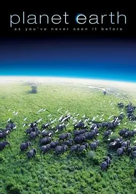 《地球脉动第一季》：震撼心灵的自然史诗，带你领略地球的极致之美