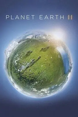 《地球脉动 第二季》：震撼回归！深入地球之心，揭秘生命奇迹与极限挑战